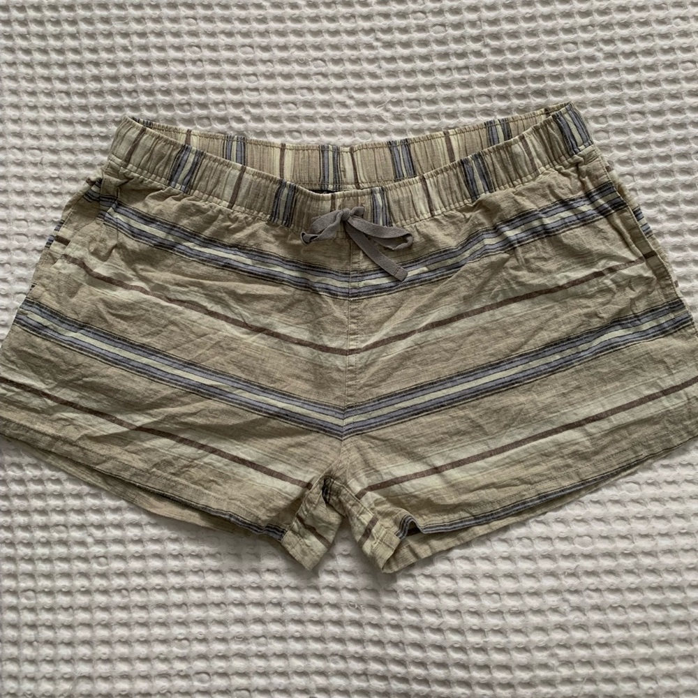 Patagonia Shorts